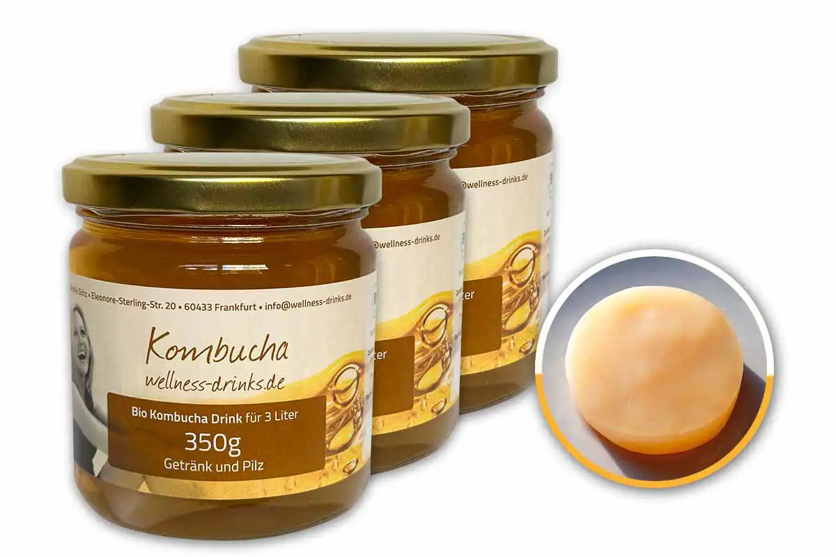 Organic Kombucha for 9 Liter (1000g Kombucha Drink With 3 Scobys) Organic Kombucha for 9 Liter (1000g Kombucha Drink With 3 Scobys)