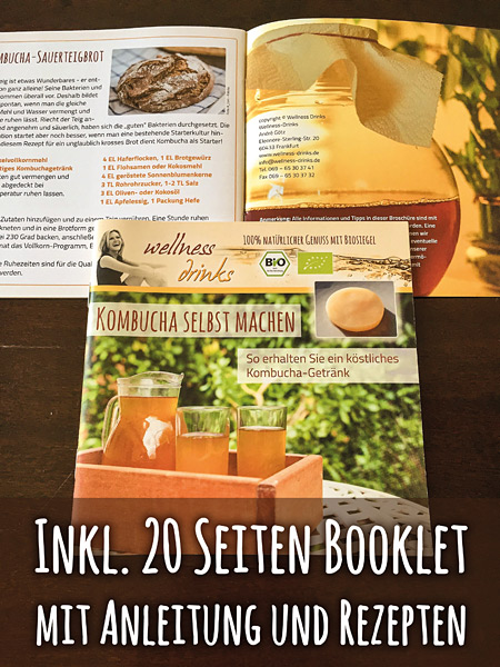 Kombucha_Anleitung Order now Organic Ginseng Kombucha Culture with Accessory