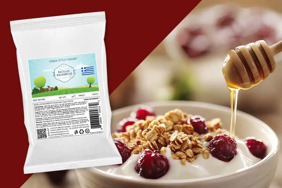 Griechischen Joghurt selber machen – mit Bacillus Bulgaricus-Kulturen