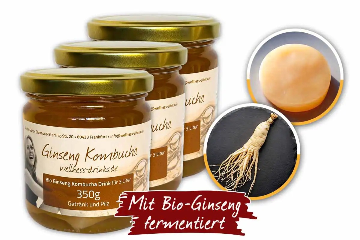 Bio Ginseng Kombucha für 9 Liter (1000g Getränk und 3 Kombucha-Pilze)