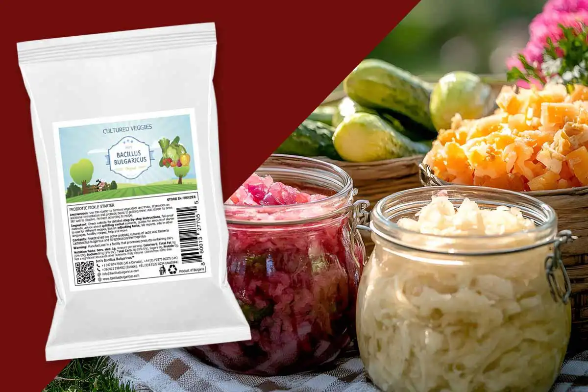 Cultured Veggies – Fermentation Starter for Vegetables (2-Pack)