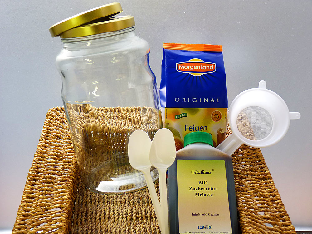 rootkomplett Bio-Ginger Root Plant mit 60 g Kefirkristallen und Zubehör bestellen