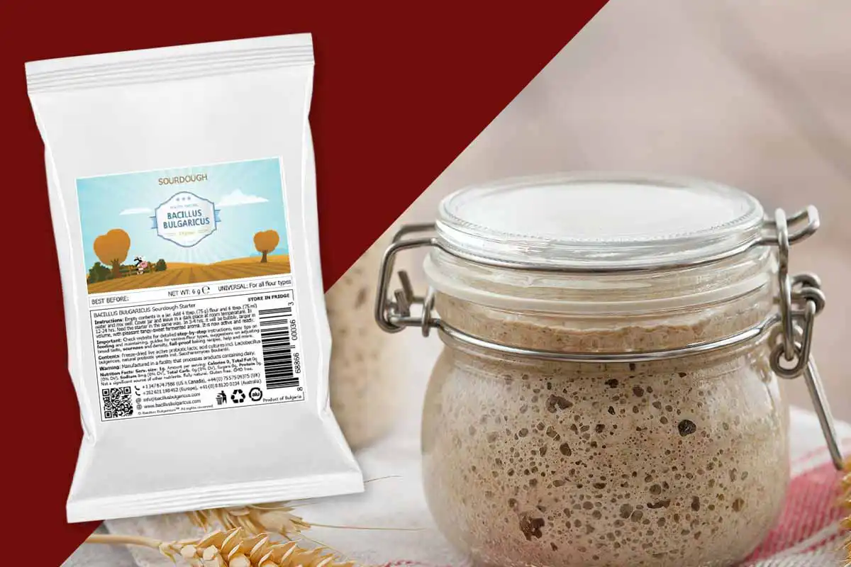 Sourdough Starter Culture for real Sourdough Sourdough Starter Culture for real Sourdough