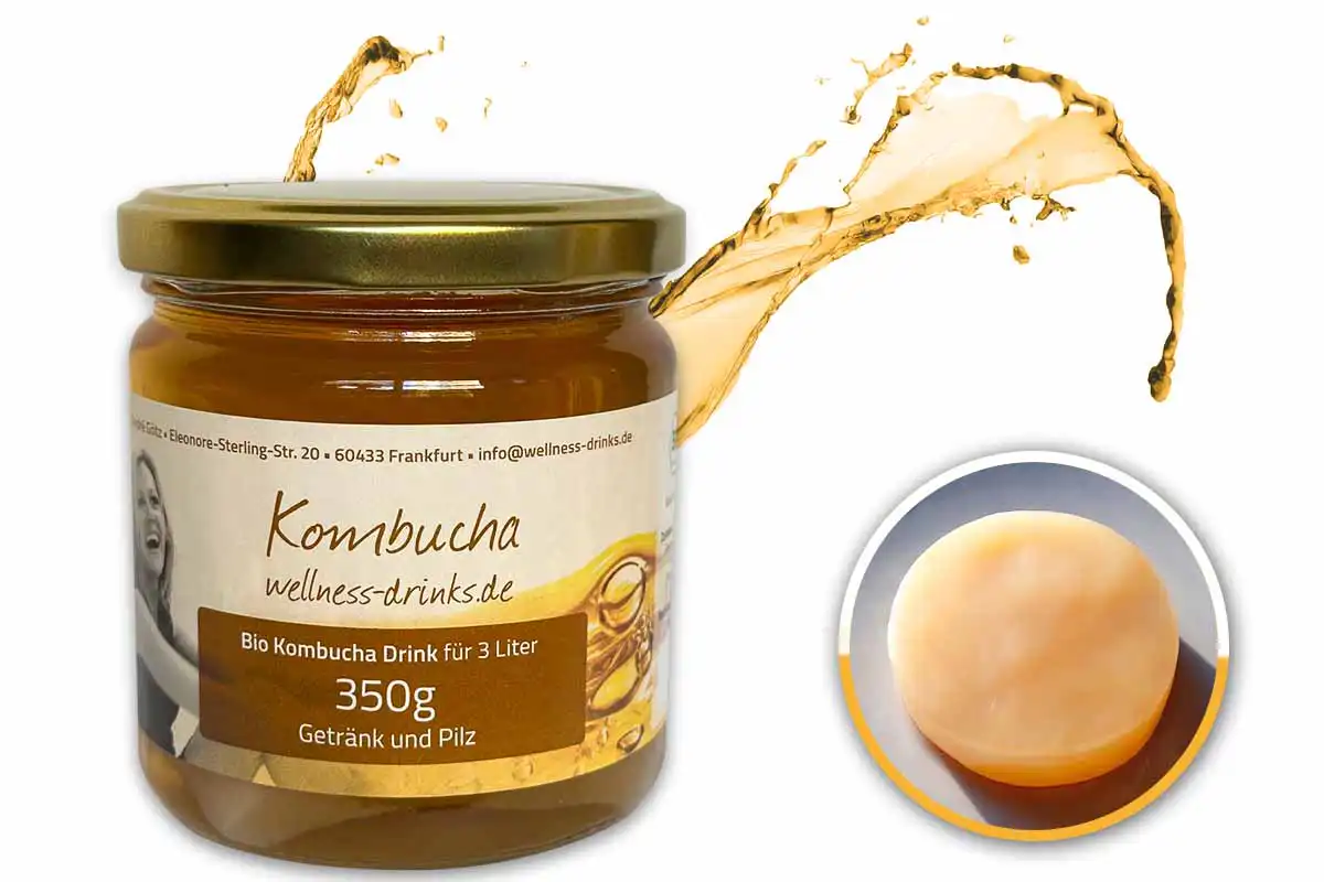 Organic Kombucha for 3 Liter (350g Kombucha Drink With SCOBY) Organic Kombucha for 3 Liter (350g Kombucha Drink With SCOBY)