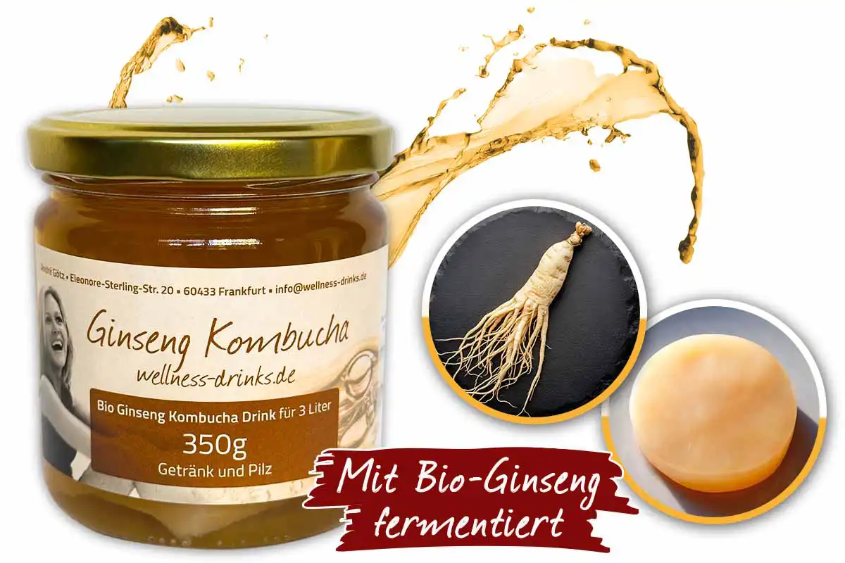 Organic Ginseng Kombucha for 3 Liter (350g Ginseng Kombucha Drink With Scoby) Organic Ginseng Kombucha for 3 Liter (350g Ginseng Kombucha Drink With Scoby)