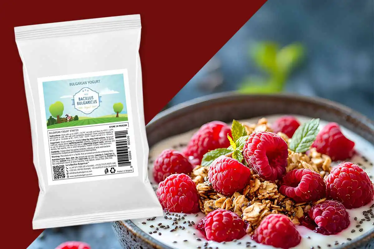Make your own Bulgarian yogurt – with yogurt starter from Bacillus Bulgaricus Make your own Bulgarian yogurt – with yogurt starter from Bacillus Bulgaricus