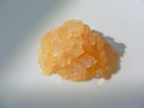 Gingerroot Organic Ginger Root Plant with accessory