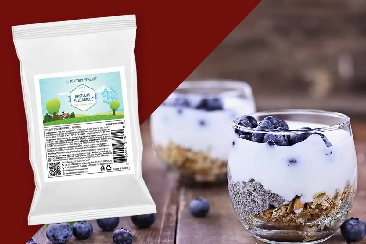 L. reuteri-Joghurt selber machen – mit L. reuteri & bulgaricus-Kulturen (3er-Pack)