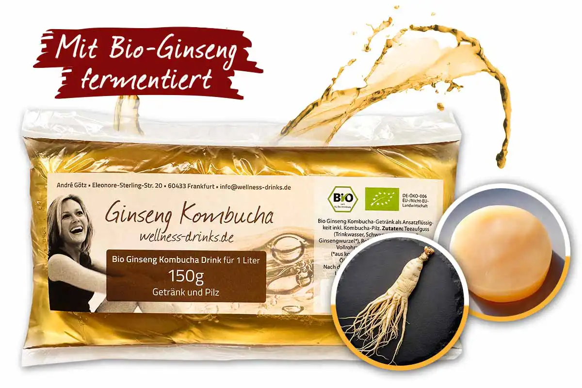 Bio Ginseng Kombucha für 1 Liter (150 g Getränk und Kombucha-Pilz)