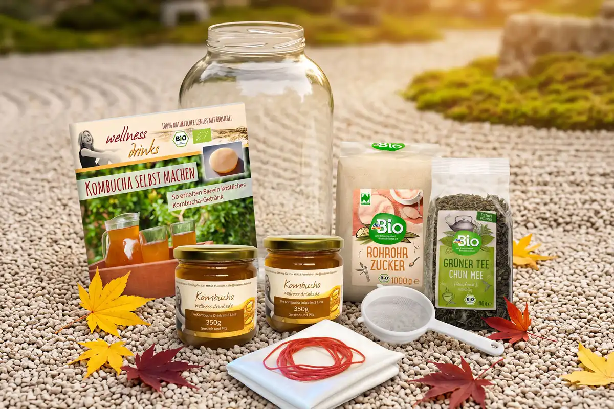Bio Kombucha Komplettset Deluxe mit 4,2 Liter Glas