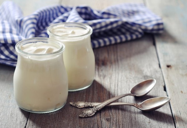 Make your own Bulgarian yogurt – with yogurt starter from Bacillus Bulgaricus